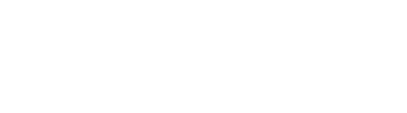 wisegroup logo